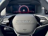 Škoda Karoq (2026) Sportline 1.5 TSI 110 kW DSG - náhled 10