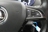 Škoda Octavia - náhled 15