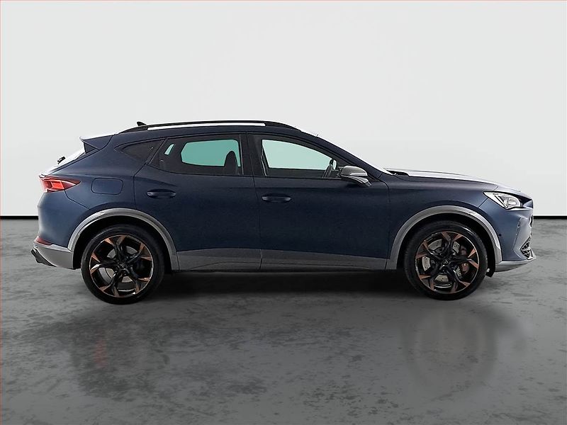 Cupra Formentor (2020) 2.0 TSI VZ 4Drive - fotka 6 z 20