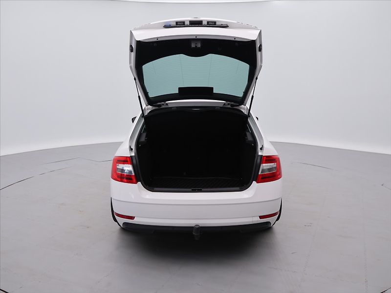 Škoda Octavia 1,6 TDI 85kW Ambition CZ - fotka 9 z 30