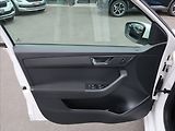 Škoda Fabia 1,0 TSi,70kW,1majČR,serv.k,DPH - náhled 19