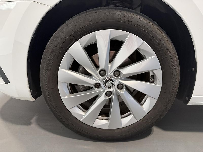 Škoda Octavia 2.0 TDI 110kW Style - fotka 13 z 13