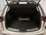 Lexus NX 450h plus 450h+,Executive,4x4, - náhled 12