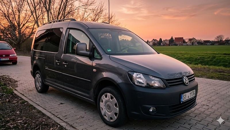 Volkswagen Caddy maxi 4x4 servisní historie     - fotka 4 z 46