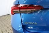 Škoda Octavia (2024) Combi Top Selection 2.0 TDI 11 - náhled 12