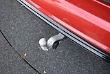 Volkswagen Touareg (2025) R-Line 3.0TDI 210kW,webasto,ta - náhled 15
