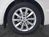 Škoda Octavia (2014) 1.2 TSI - náhled 14