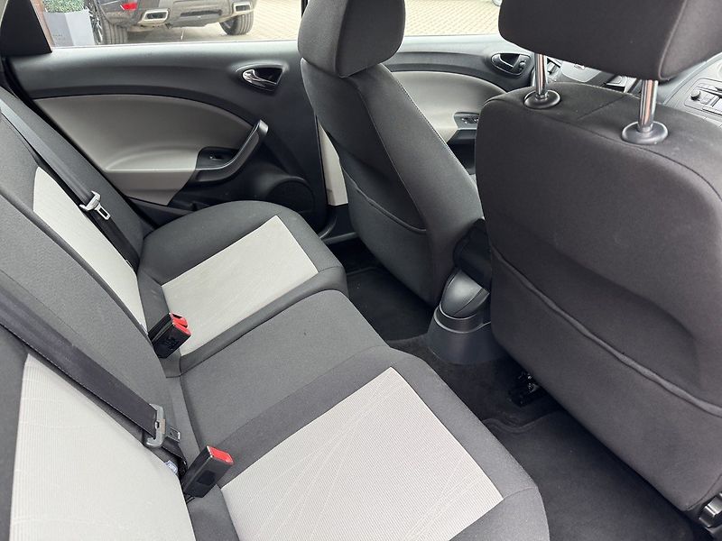 Seat Ibiza (2014) 1.4i 16V Navi Digi Klima - fotka 18 z 50