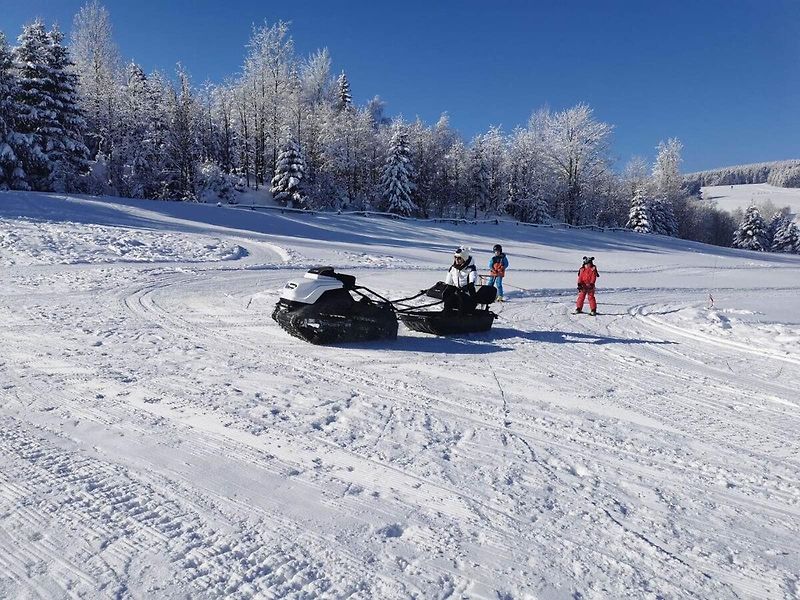 Ostatní (2021) SNOW DOG / TINGER 410 Briggs & - fotka 3 z 10