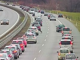 Pes zmateně přebíhal po dálnici ze směru na Prahu i na Brno
