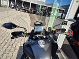 QJ Motor (2025) SVT 650 X (2025) – 1. majitel, - náhled 20