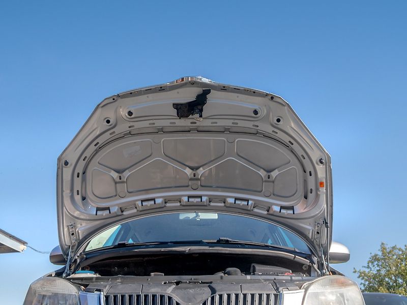 Škoda Fabia (2007) 1.2HTP 44KW – PO SERVISU - fotka 31 z 34