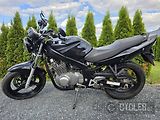 Suzuki GS 500 (2004) - náhled 11