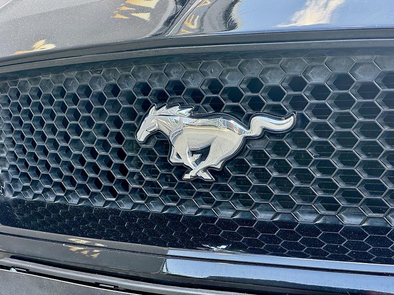 Ford Mustang (2018) Convertible 5.0Ti-VCT V8 GT - fotka 46 z 52
