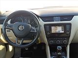 Škoda Octavia 1,6 TDi 4x4 Navi,Kůže,Aut.klim - náhled 16