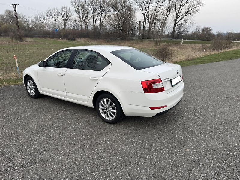 Škoda Octavia (2013) Ambition 1.2TSI 77kW, ČR - fotka 7 z 15