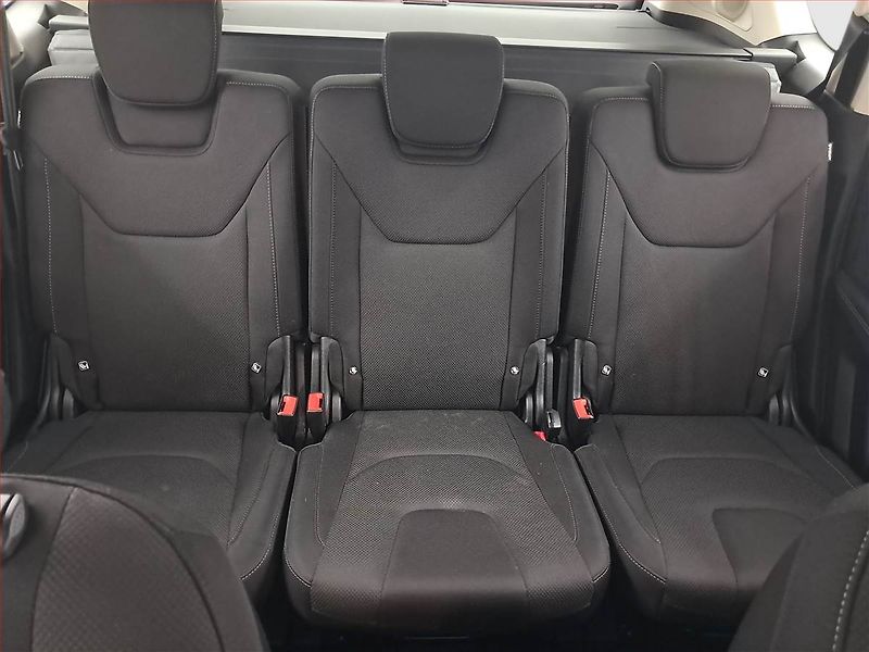 Ford S-MAX (2020) 2.0 EcoBlue, Automat - fotka 10 z 22