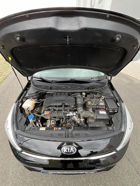 Kia Rio (2020) Exclusive - fotka 7 z 14