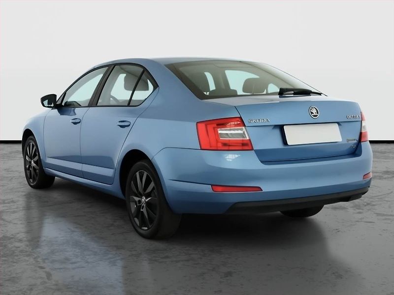Škoda Octavia (2013) Ambition 1.6 TDI, Tempomat - fotka 4 z 19