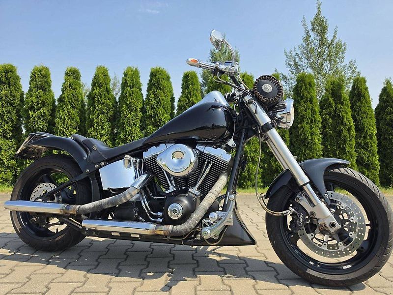 Harley-Davidson FLST Heritage Softail (2002) - fotka 2 z 10
