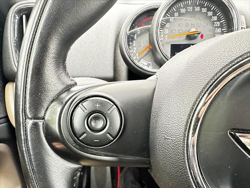 Mini Countryman 2,0 SD 140kW- automat- CZ - fotka 24 z 47