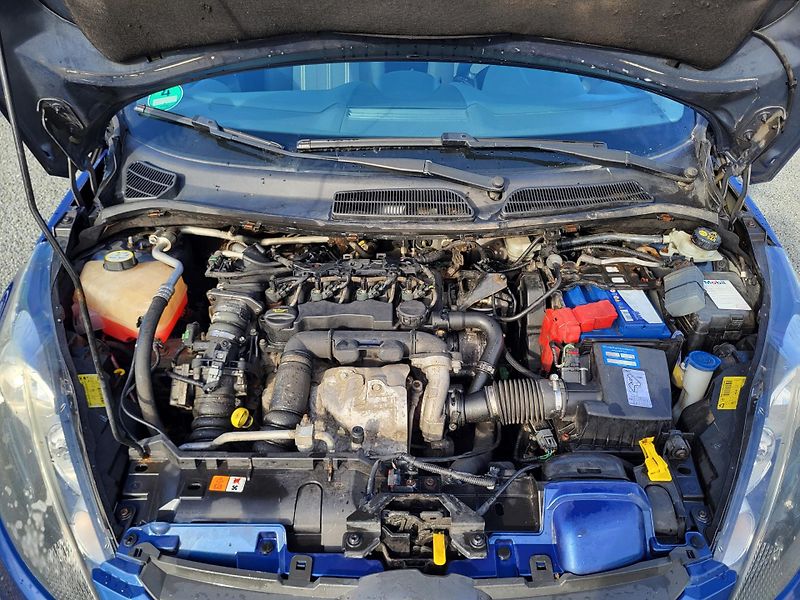 Ford Fiesta 1.6 L Duratorq TDCi 66kW TREND - fotka 29 z 47