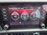 Škoda Kodiaq 2.0 TDI DSG 4x4 SCOUT - náhled 19