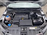 Škoda Fabia 1,4 TDI Ambition - náhled 37