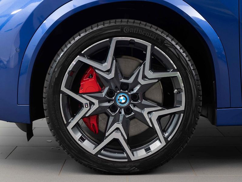 BMW iX2 xDrive30 - fotka 6 z 22