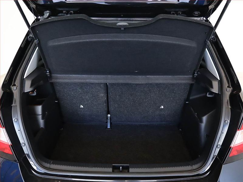 Škoda Fabia (2020) Ambition 1.0 TSI, Tempomat - fotka 11 z 15