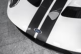 Ford Ostatní GT CARBON SERIES/KAMERA/LIFT - náhled 27