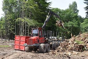 Na trase D11 Jaroměř - Trutnov skončilo kácení dřevin.
