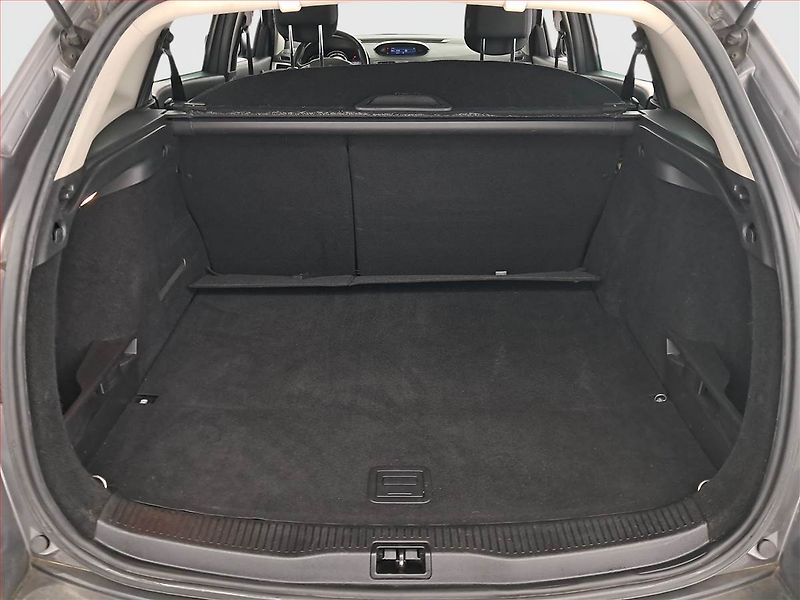 Renault Mégane (2012) 1.2 TCe, Tempomat - fotka 13 z 18