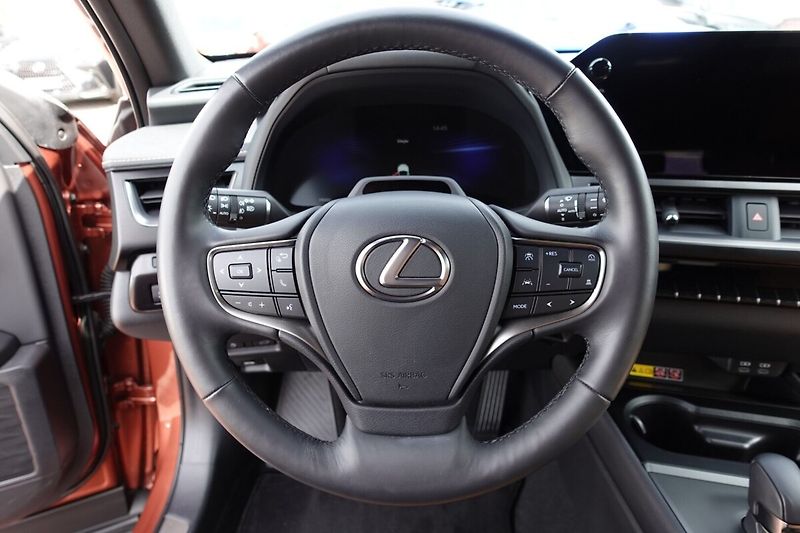 Lexus UX 300h UX300h Luxury 4x4 - fotka 19 z 38