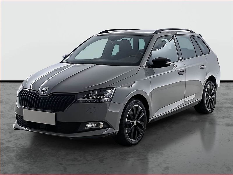 Škoda Fabia (2019) Monte Carlo 1.0 TSI, Tempomat - fotka 2 z 22