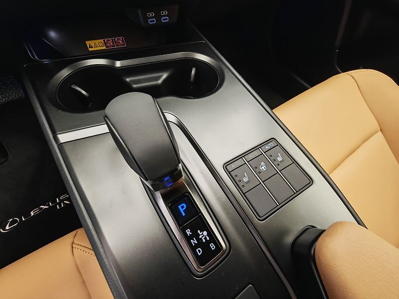 Lexus UX 300h F Sport Design 300H - fotka 38 z 44