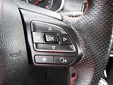 MG ZS (2022) 1.5 DVVT, ČR, AC, TZ, park - náhled 13