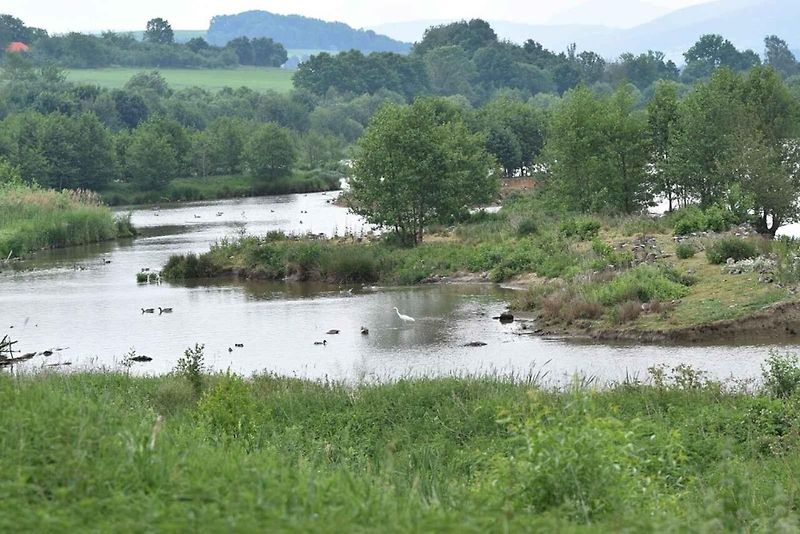 Pro ornitologa ráj, pro běžného turistu zážitek. To je Dračí jezero.