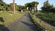 Nejstarší silnice: Via Appia, Itálie.