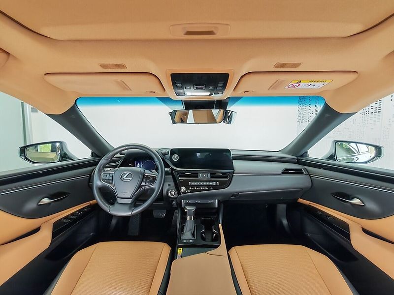 Lexus ES 300h Limited Edition - fotka 9 z 37