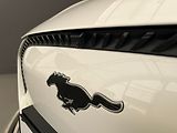 Ford Mustang Mach-E SoH 94,5 %, po servisní prohlí - náhled 43