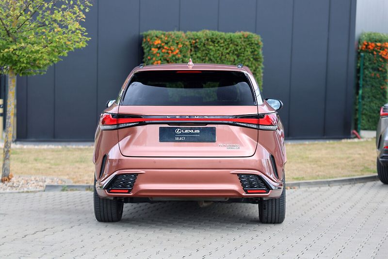 Lexus RX 500h 2,4 HEV F SPORT PLUS PANORAMIC - fotka 25 z 25