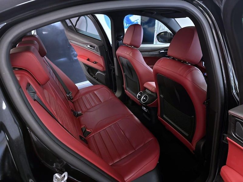 Alfa Romeo Stelvio (2019) 2.0 T 280k AT8 ZF Q4 4x4 Super - fotka 8 z 21