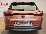 Lexus UX 300h F Sport Design 300H - náhled 8
