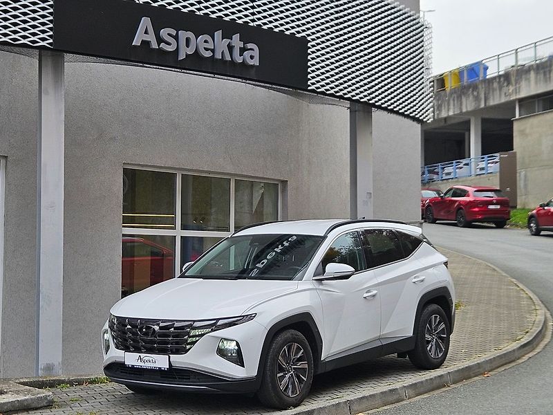 Hyundai Tucson 1,6 T-GDi, Smart, 1.majitel - fotografie inzerátu