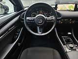 Mazda 3 2.5l e-SKYACTIV G, 1.majitel - náhled 14