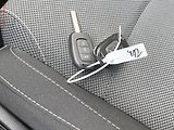 Renault Mégane (2016) 1.2 TCe, Zen, AC, tempo - náhled 16