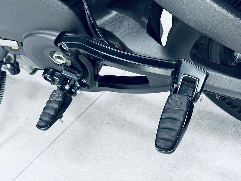 Harley-Davidson Ostatní (2022) ELW*LiveWire - fotka 15 z 19