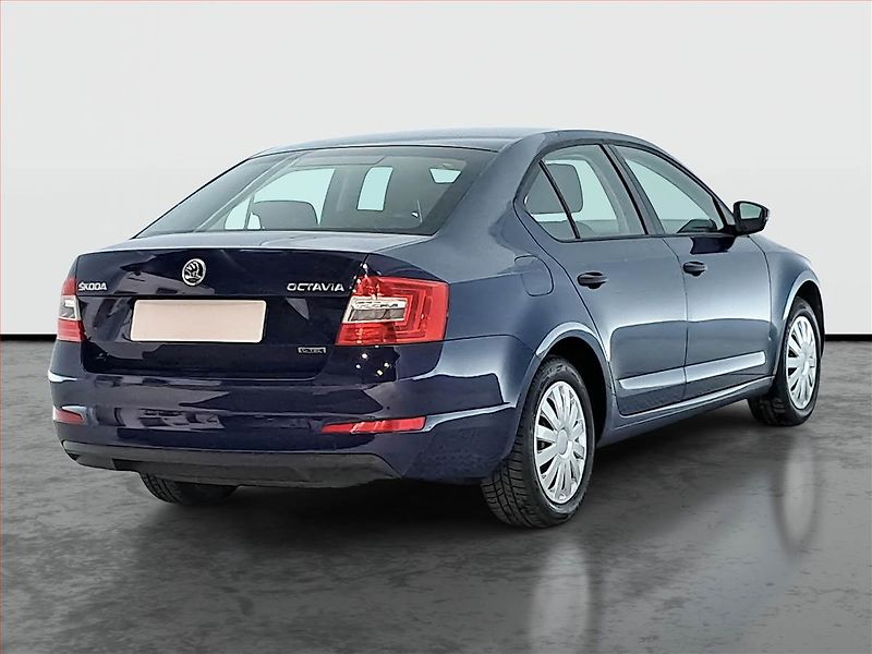 Škoda Octavia (2015) 1.4 TSI CNG, ČR,1.maj - fotka 5 z 14