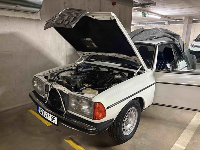 Mercedes-Benz 280 (1980) - fotka 9 z 9
